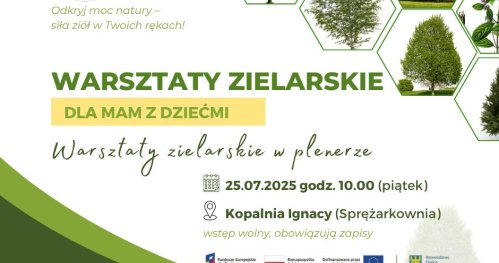 Warsztaty zielarskie w plenerze dla mam z dziećmi