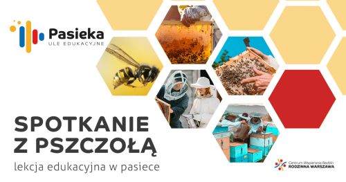 Spotkanie z pszczołą - lekcje edukacyjne w pasiece - sierpień