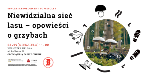 Niewidzialna sieć lasu - opowieści o grzybach. Spacer mykologiczny po Wesołej