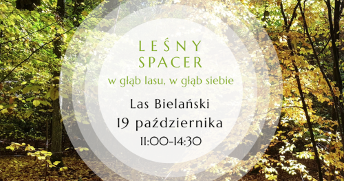 Leśny Spacer. W głąb lasu, w głąb siebie