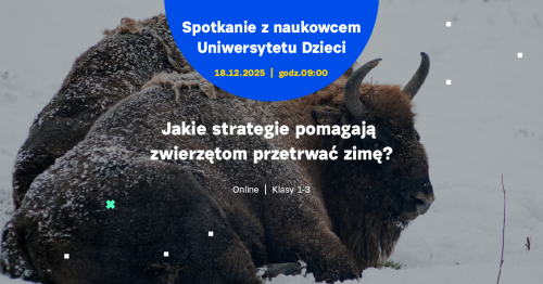 SPOTKANIE ONLINE dla klas 1-3: Jakie strategie pomagają zwierzętom przetrwać zimę?