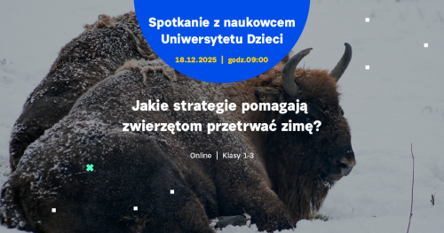 SPOTKANIE ONLINE dla klas 1-3: Jakie strategie pomagają zwierzętom przetrwać zimę?