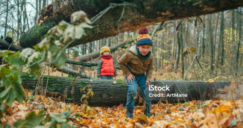 Gra terenowa - Śladami śląskich straszków