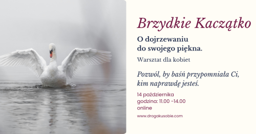 Brzydkie Kaczątko - o dojrzewaniu do swojego piękna. Warsztat dla kobiet online.