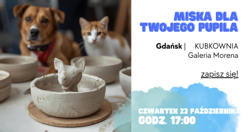 Miska dla PUPILA - KUBKOWNIA Gdańsk - 23 października (czwartek 17:00)