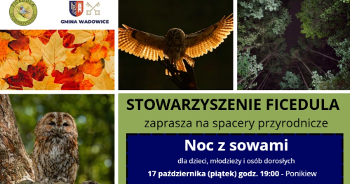 Noc z sowami