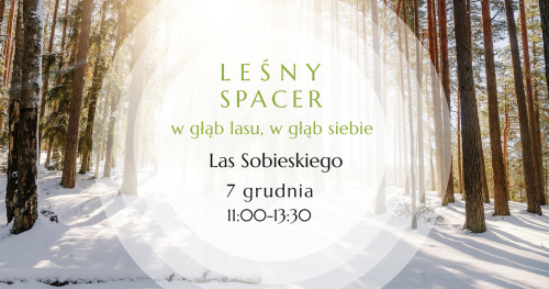 Leśny Spacer. W głąb lasu, w głąb siebie