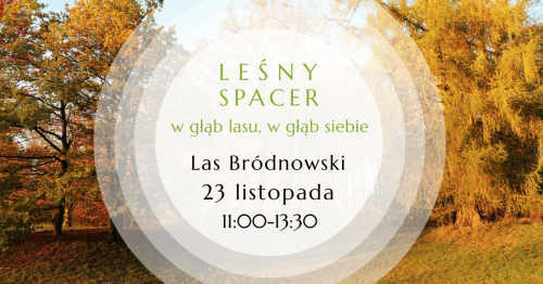 Leśny Spacer. W głąb lasu, w głąb siebie