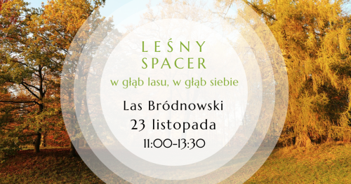 Leśny Spacer. W głąb lasu, w głąb siebie