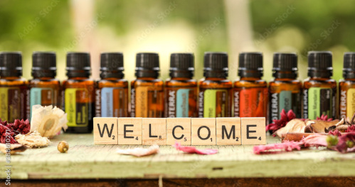 Stalowa Wola BLIŻEJ NATURY