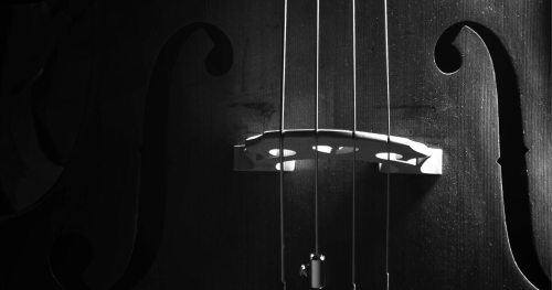 Jakub Olejnik Trio na strychu Zamku Piastowskiego