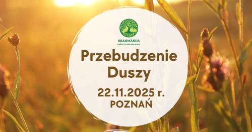 PRZEBUDZENIE DUSZY. JAK OSIĄGNĄĆ I UTRZYMAĆ WYSOKĄ WIBRACJĘ