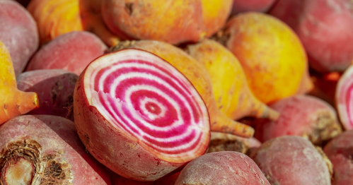 Sztuka domowych kiszonek i fermentacji