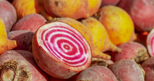 Sztuka domowych kiszonek i fermentacji