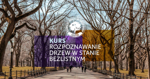 Kurs- Rozpoznawania drzew i krzewów w stanie bezlistnym - Poznań