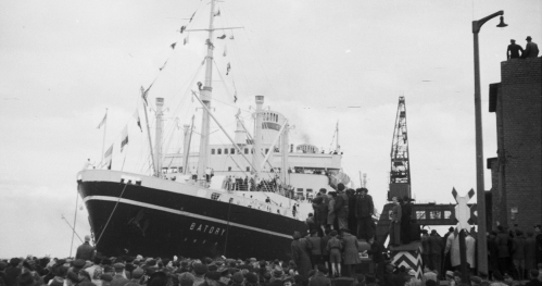 Przegląd Filmów i Fotografii Morskich | Transatlantyki i Pieśni Wielorybów