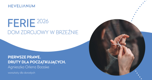 Pierwsze prawe. Druty dla początkujących - warsztaty dla dorosłych