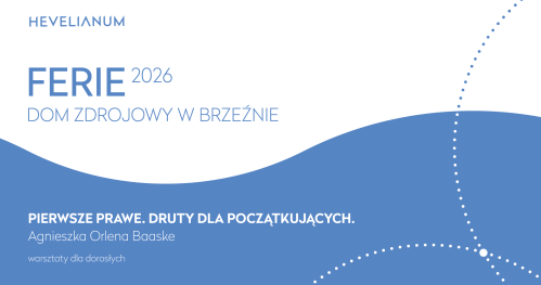 Pierwsze prawe. Druty dla początkujących - warsztaty dla dorosłych