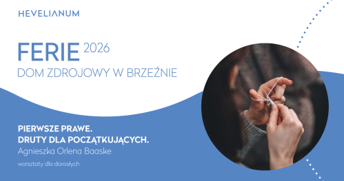 Pierwsze prawe. Druty dla początkujących - warsztaty dla dorosłych