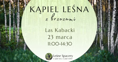 Leśna kąpiel z brzozami. Leśne spacery. W głąb lasu, w głąb siebie.