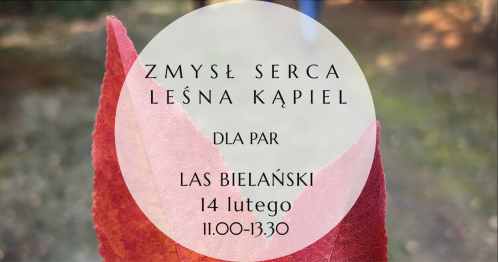 Zmysł serca - leśna kąpiel dla par