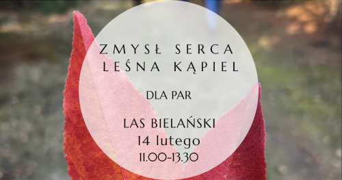 Zmysł serca - leśna kąpiel dla par