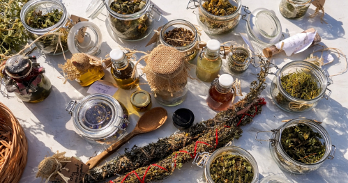 Warsztaty zielarskie - podstawy zielarstwa