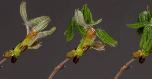 Warsztat mediacji transformatywnej