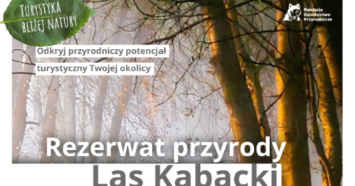 Turystyka bliżej natury / rezerwat przyrody Las Kabacki