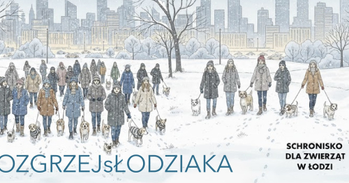 BILET na akcję ROZGRZEJsŁODZIAKA Spacer z psami ze Schroniska dla Zwierząt w Łodzi 24.01.2026