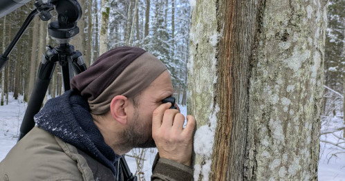 Turystyka bliżej natury / rezerwat przyrody Las Bielański