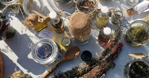 Warsztaty zielarskie - podstawy zielarstwa