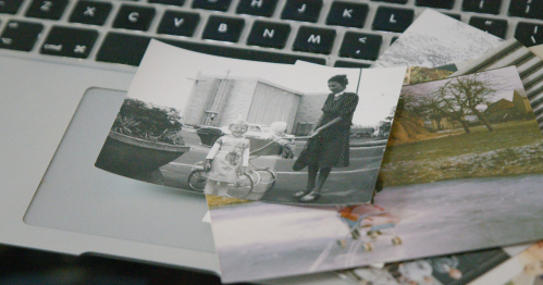 🌼 Robimy kolaże w Domu Sztuki | warsztat