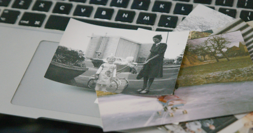 🌼 Robimy kolaże w Domu Sztuki | warsztat