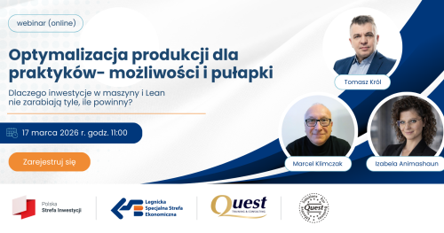 Webinar: OPTYMALIZACJA PRODUKCJI DLA PRAKTYKÓW - MOŻLIWOŚCI I PUŁAPKI