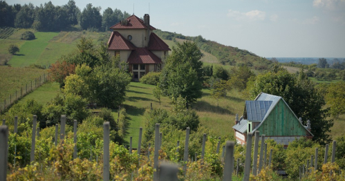 Profesor od sztuki i wina. Wieczór z winami z Małopolskiego Przełomu Wisły i prof. Wojciechem Włodarczykiem