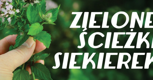 Zielone ścieżki Siekierek: Holobiont - warsztat tworzenia napoju etnobotanicznego z Urzecza
