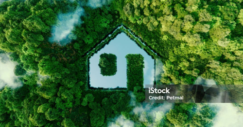 Ekologiczne postawy w życiu codziennym