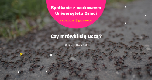 SPOTKANIE ONLINE dla klas 1-3: Czy mrówki się uczą?