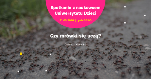 SPOTKANIE ONLINE dla klas 1-3: Czy mrówki się uczą?