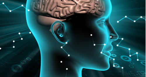 Warsztaty z kooperacji