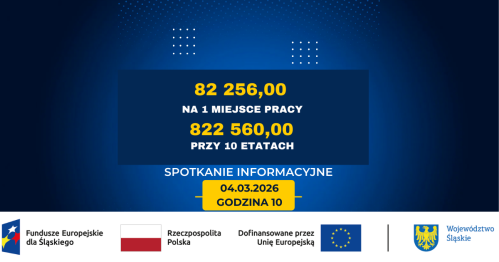 Spotkanie informacyjne - 7. nabór nOWES