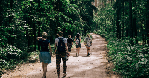 Tu & teraz w naturze - spacer uważności z Emilią Ochocką