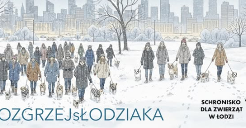 BILET na akcję ROZGRZEJsŁODZIAKA Spacer z psami ze Schroniska dla Zwierząt w Łodzi 07.03.2026