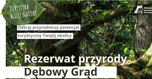 Turystyka bliżej natury / rezerwat przyrody Dębowy Grąd