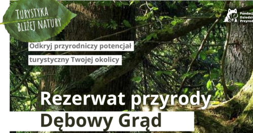 Turystyka bliżej natury / rezerwat przyrody Dębowy Grąd