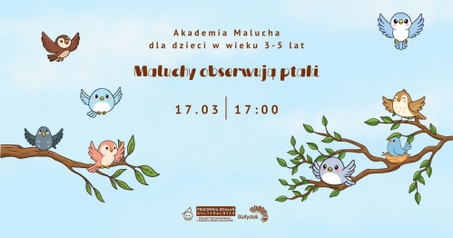 Akademia Malucha | Maluchy obserwują ptaki