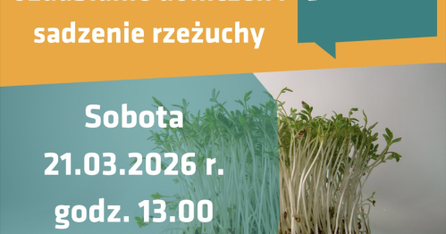 Warsztaty ozdabianie doniczek i sadzenie rzeżuchy