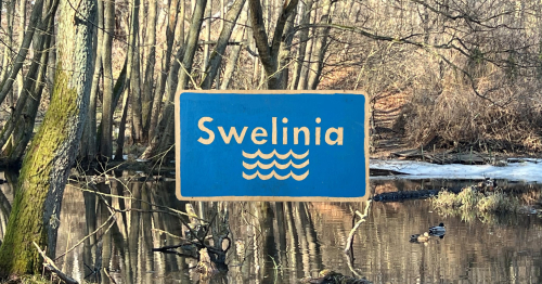 Ptasia Niedziela i Wspólny Las