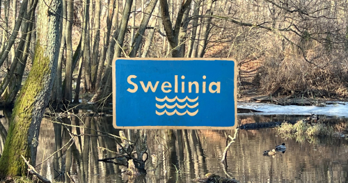 Ptasia Niedziela i Wspólny Las